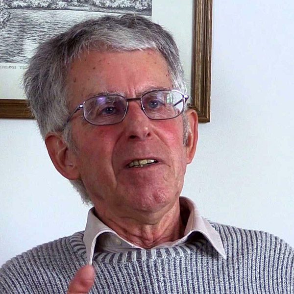 Lektor, Journalist